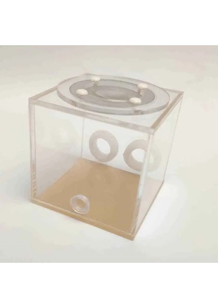 5X3.3X5CM Tarzı Çift Tüp Karınca Çiftliği Plastik Şeffaf Sürüngen Teraryum Genç Koloniler Için Messorlar Böcek Malzemeleri (Yurt Dışından) modelleri