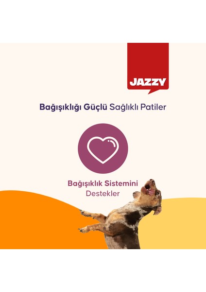 General Dog Yetişkin Köpek Maması Kuzulu 12 kg