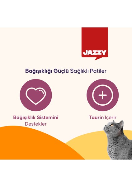 General Cat Yetişkin Kedi Maması Tavuklu 12 kg