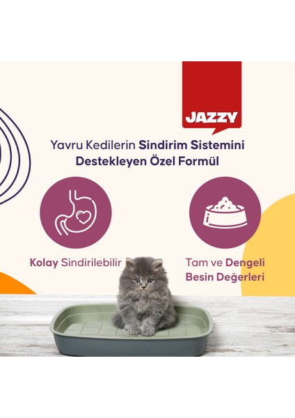 General Cat Yavru Kedi Maması Tavuklu 400 gr