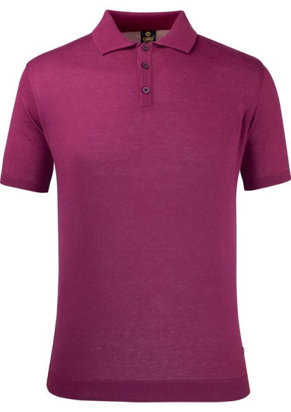 Erkek Yazlık Triko Polo Yaka Regular Kalıp