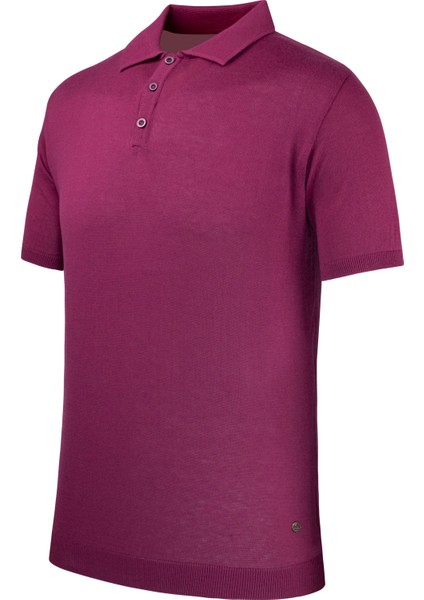 Erkek Yazlık Triko Polo Yaka Regular Kalıp modelleri