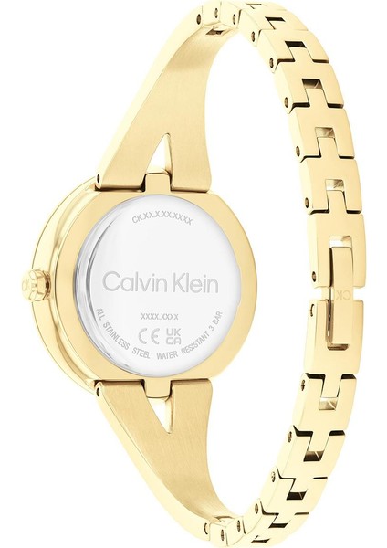 Calvin Klein CK25100027 Kadın Kol Saati