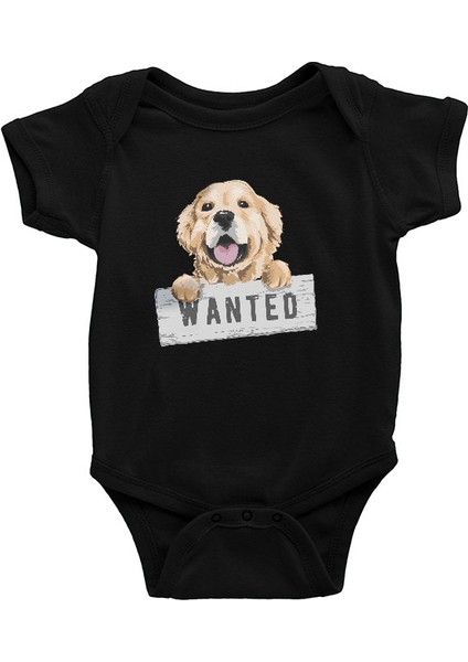 Golden Retriever Aranıyor Siyah Unisex Bebek Body - Zıbın