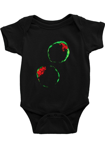 Embriyolog Siyah Unisex Bebek Body - Zıbın