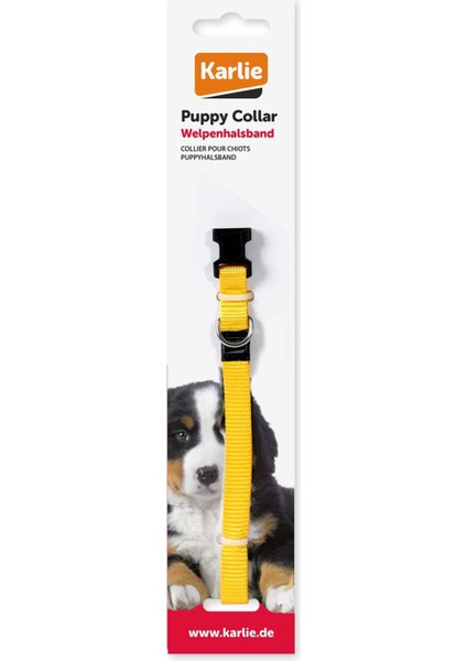 Karlıe Yavru Köpek Boyun Tasma 20-30CM