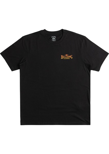Dreamy Place Tees Erkek Siyah Tişört fiyatları