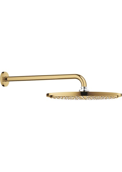 Rainshower Cosmopolitan Tepe Duşu ve Dirseği 38cm - 26066GL0