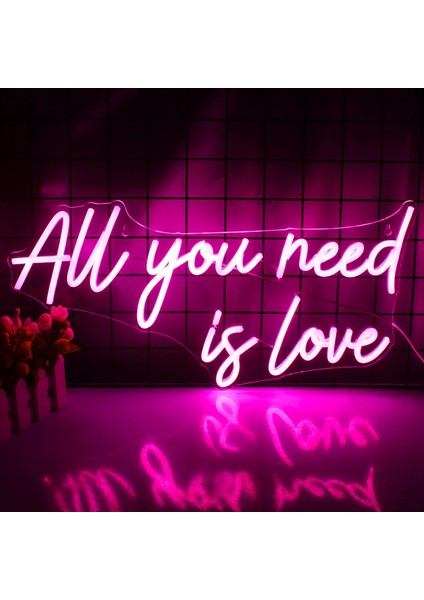 5W Tarzı Pembe Wanxing Neon Burcu Ihtiyacınız Olan Tek Şey Aşk Özel LED Işık Sanat Ev Düğün Itirafı Parti Odası Estetik Yatak Odası Duvar Dekoru Için (Yurt Dışından)