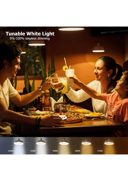 2 Adet LED Akıllı Ampul Tuya Akıllı Yaşam App Kontrolü Rgbcw 15W Ac Renk Değiştirilebilir Zamanlama Ev Aydınlatma Kısılabilir Bluetooth 4.0 E27 (Yurt Dışından)