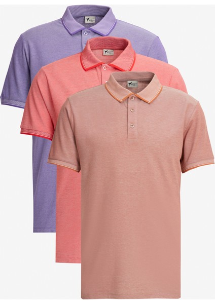 AC&Co / Altınyıldız Classics Erkek Kiremit-Nar Çiçeği-Mor 3'lü Çekmeyen Pamuklu Slim Fit Dar Kesim Kıvrılmaz Polo Yaka Tişört