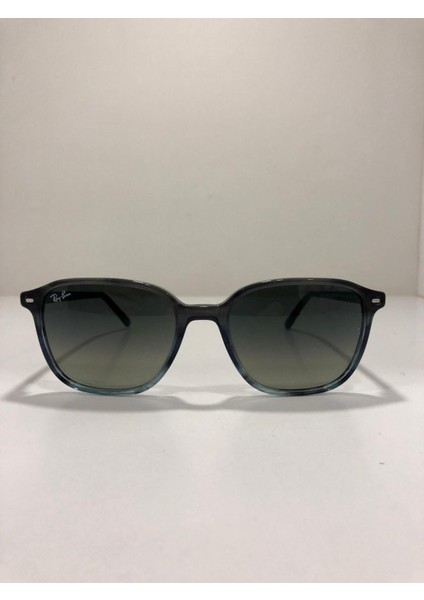 Rayban 2193 1381/71 Erkek Güneş Gözlüğü