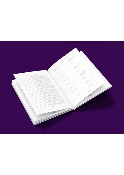 999 Violet Aura Journal