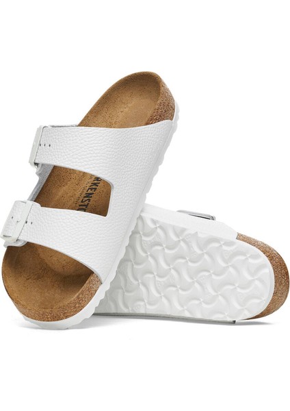 Arızona Nl fiyatları