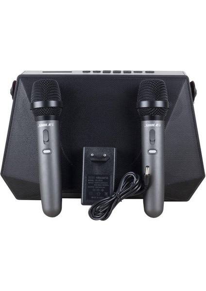 SL-2013 Iki El Mikrofonlu Taşınabilir Bluetooth Hoparlör