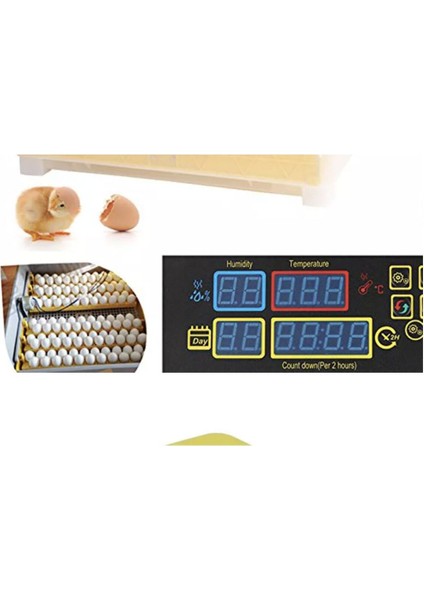 56LI Tam Otomatik Kuluçka Makinesi Full Otomatik Kuluçka Makinası indirimleri