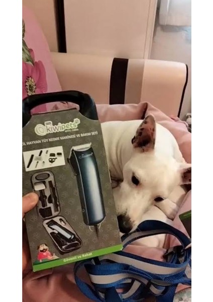 Tüy Yolma Makinaları Kiwipets Evcil Hayvan Tüy Kesme Makinesi Bakim Seti Kppc - 10850