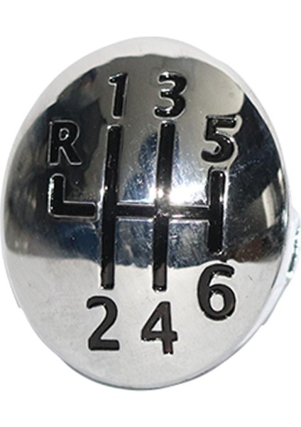 Scenic Için Topuzu Ğı Abs Topuzu (Yurt Dışından) fiyatları