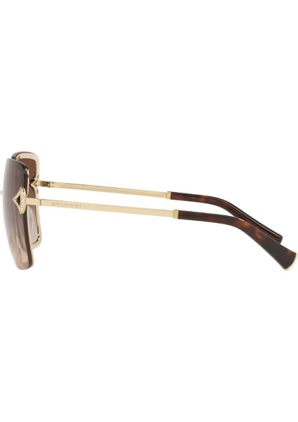 0BV6167B 278/13 59 Kadın Güneş Gözlüğü fırsatları