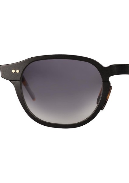Alumınıum Al 01 Col 03 49 Unisex Güneş Gözlüğü