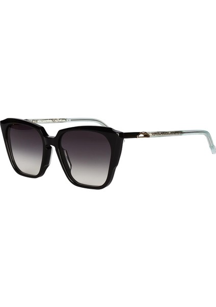 Naples Bay Nb 03 Black Silver 53 Kadın Güneş Gözlüğü fiyatları