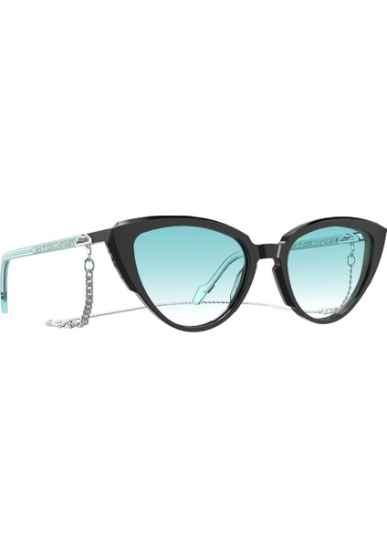 Naples Bay Nb 04 Black Silver 54 Kadın Güneş Gözlüğü