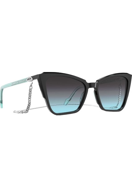 Naples Bay Nb 05 Black Silver 53 Kadın Güneş Gözlüğü fırsatları