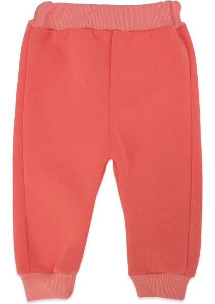 Kız Bebek Yazı Baskılı Kapüşonlu 2'li Alt Üst Eşofman Takım 3ip modelleri