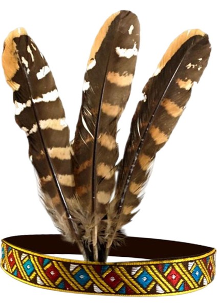 Hint Başlığı Tüy Bandı Headdress Saç Aksesuarları Şkinler 55 cm (Yurt Dışından) fırsatları