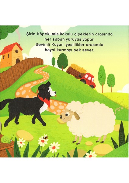 Merakımdan Soruyorum Orman ve Çiftlik Set