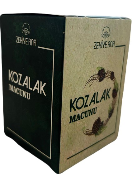 Kozalak Macunu 240 gr 8684349319409