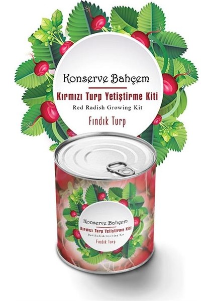 Kornea Store Konserve Bahçem Evde Konservede Fındık Turp Yetiştirme Kiti (K246)