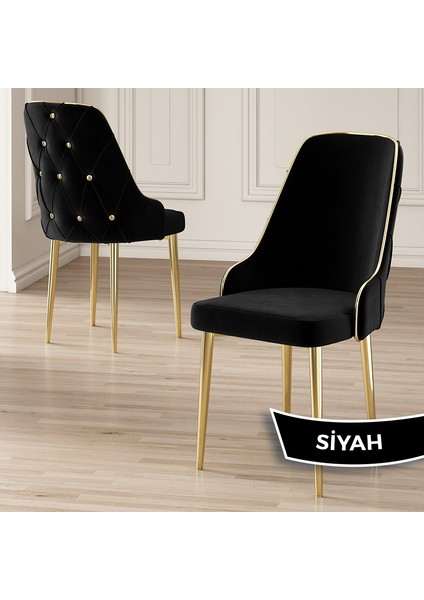 Concept Krax Serisi 1.sınıf Babyface Kumaş Yemek Odası Sandalyesi Gold Metal Ayak 6 Adet Sandalye fiyatları