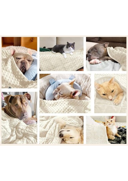 Kedi Köpekler Için (Gök Gürültüsü, Seyahat, Kaygı) Ağırlıklı Battaniye modelleri