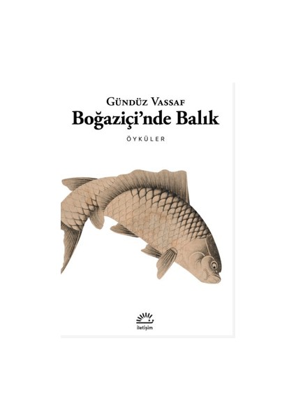 Boğaziçi'nde Balık - Gündüz Vassaf