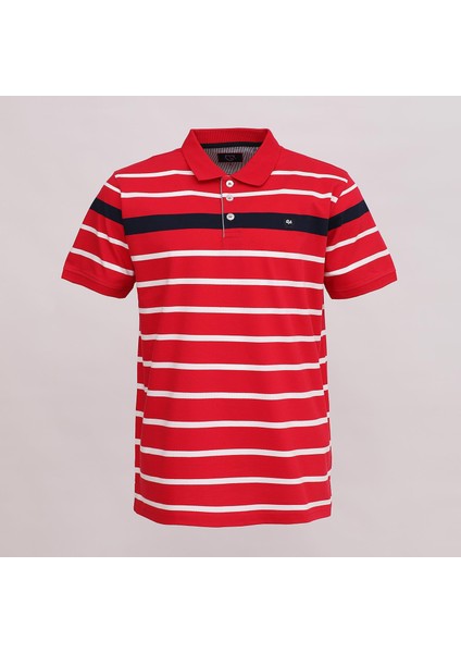 Erkek Kısa Kol Polo Yaka Çizgili T-Shirt - Czt-149 - Kırmızı