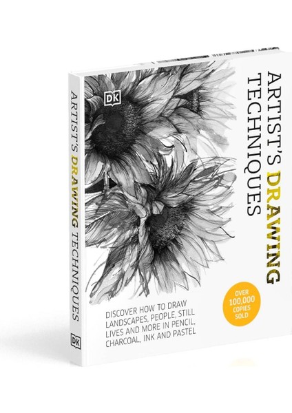 Artist's Drawing Techniques