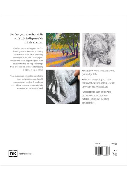 Artist's Drawing Techniques