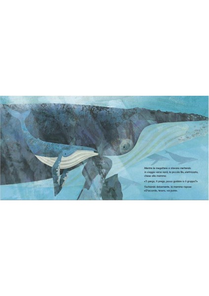 Un Po Mio Un Po Tuo fiyatları