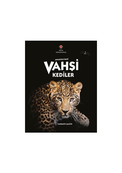 Anadolu'daki Vahşi Kediler - Yasemin Şahin