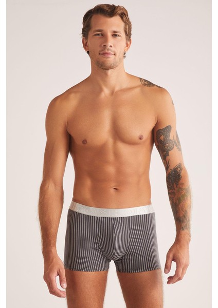 Chelsea Çizgi Desenli Pamuk Erkek Boxer Füme modelleri