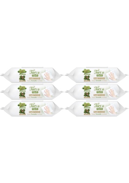 Turco Doğadan Pratik Yüzey Temizlik Havlusu 100 Yaprak Yeşil Sabun/yeşil Çam (6 Lı Set) 600 Yaprak