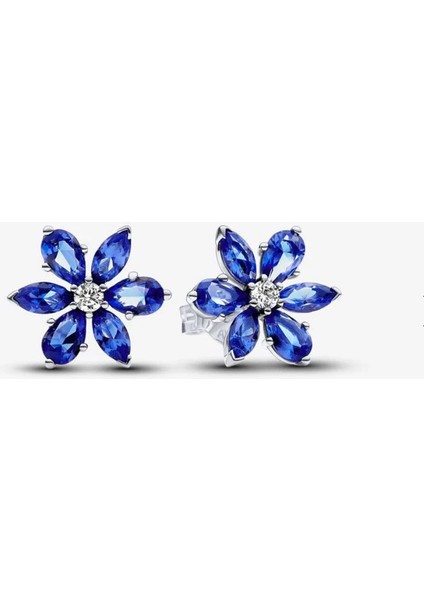 Işıltılı Mavi Herbaryum Çivi Küpe