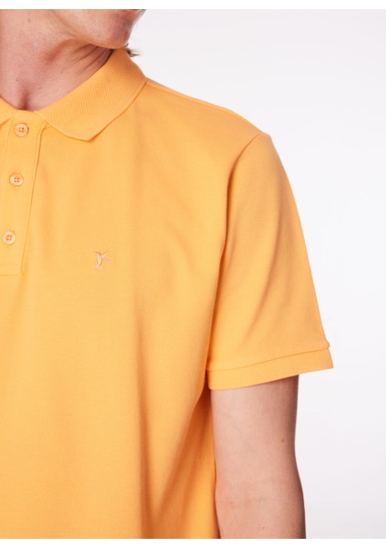 Düz Somon Erkek Polo T-Shirt Nobro K Cepsız fırsatları