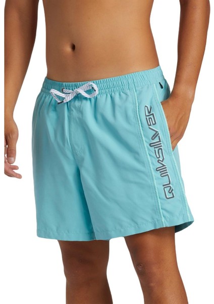 Everday Vert Volley 16 AQYJV03139-BHA0 ERKEK Mavi Şort