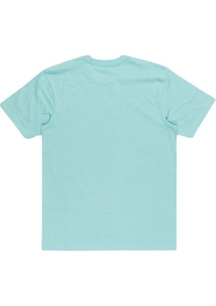 EQYZT07679 Tropical Rainbow Ss Erkek Tişört modelleri