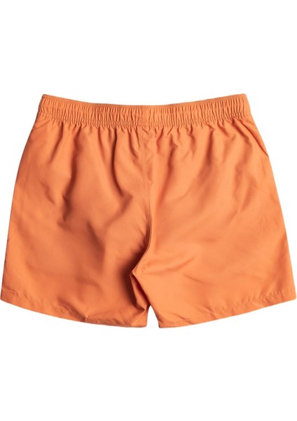 EBYJV00134 All Day Lb Erkek Şort Mayo modelleri