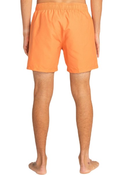 EBYJV00134 All Day Lb Erkek Şort Mayo indirimleri