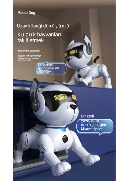 Janjon Star Akıllı Robot Köpek Oyuncak Şarkı Söyleyen ve Dans Eden Uzaktan Kumanda Akıllı Programlama Dublör Köpek Oyuncak Dokunmatik Versiyon (Yurt Dışından)