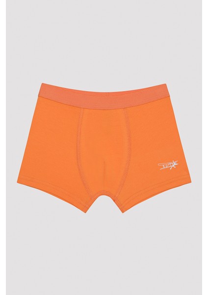 Erkek Çocuk Technology Museum Lacivert 2li Boxer fiyatları